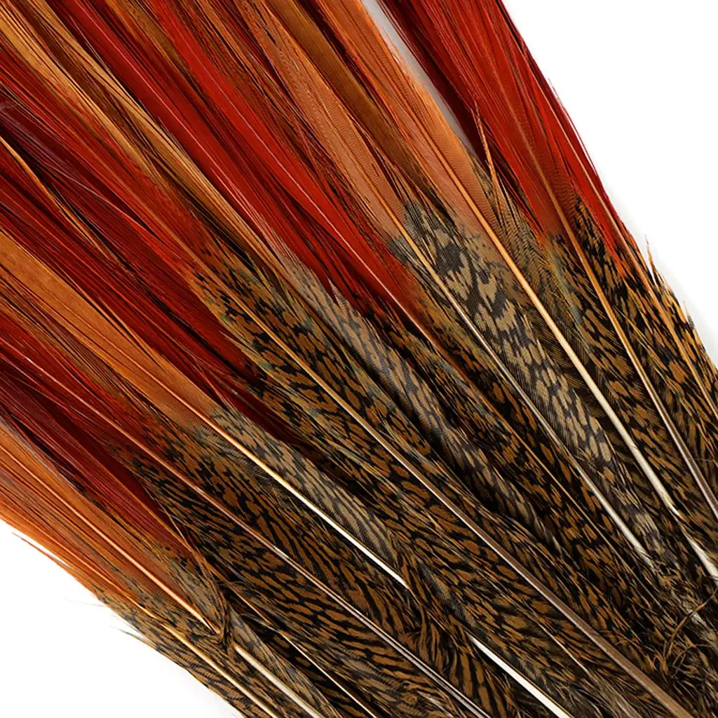 10 PC/PKG Golden Pheasant Red Top Tails 10-12"- Natural - Image 2