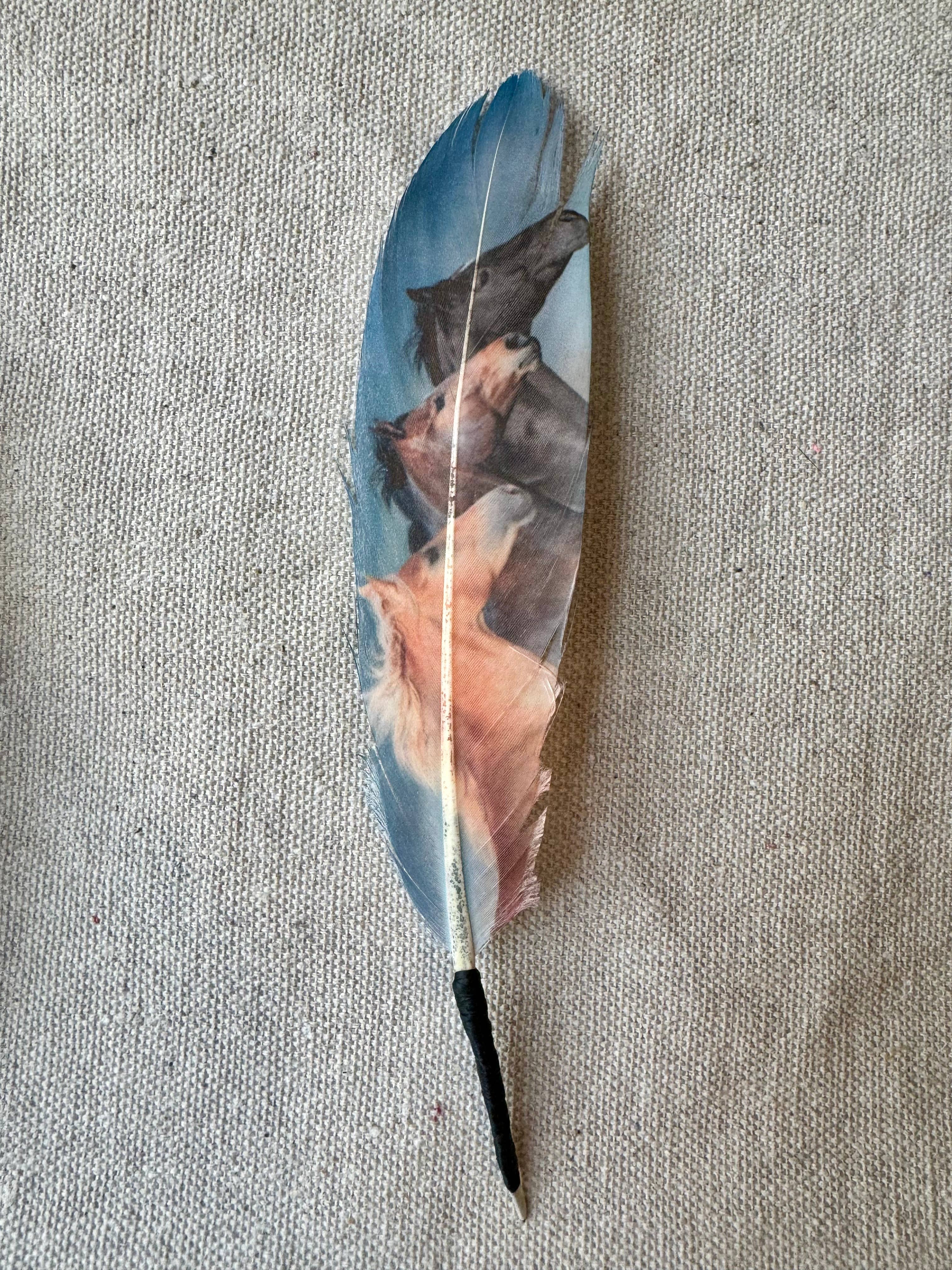 Blue Wild Horses Hat Feather - Western Hat Accessory - Image 3