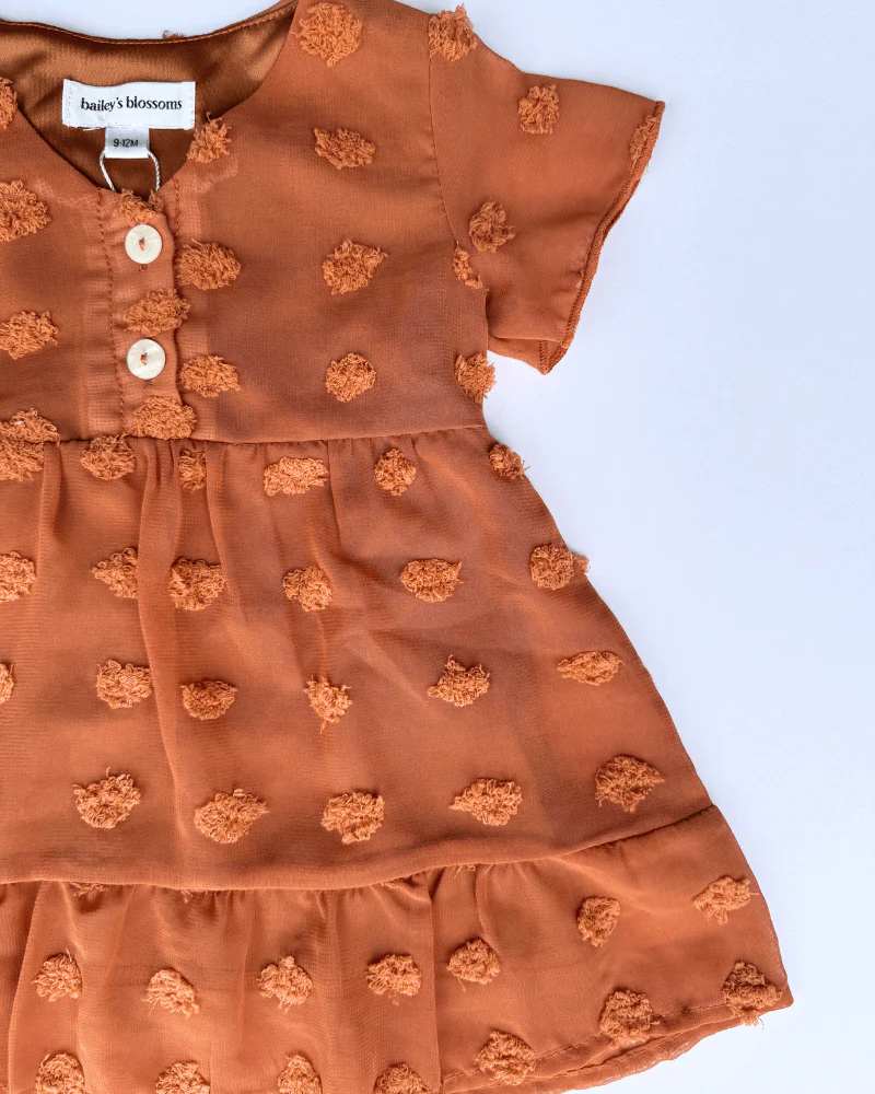 Eden Short Sleeve Dot Dress - Rust - Image 2
