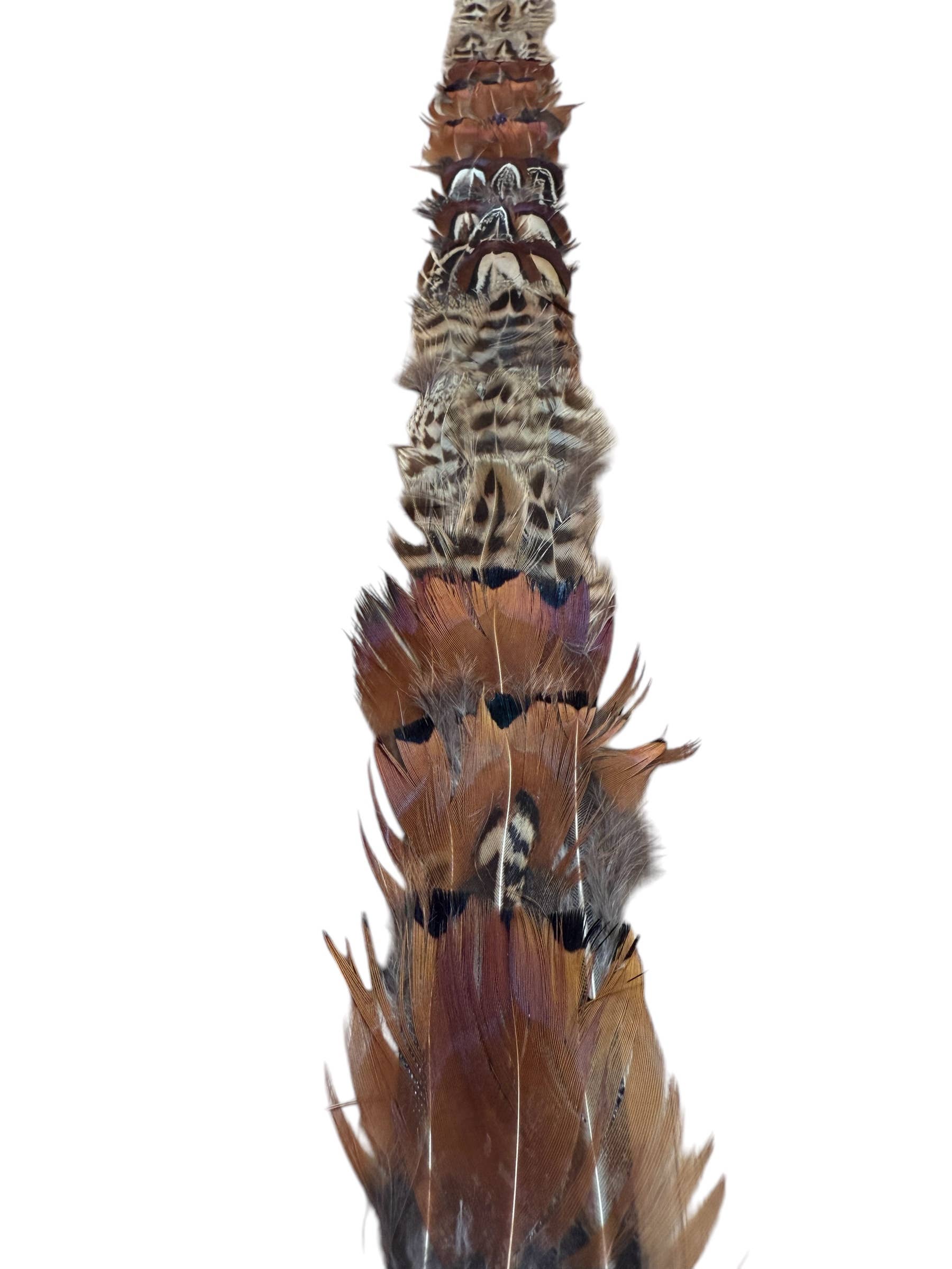 Feather hat band with strap - Image 8
