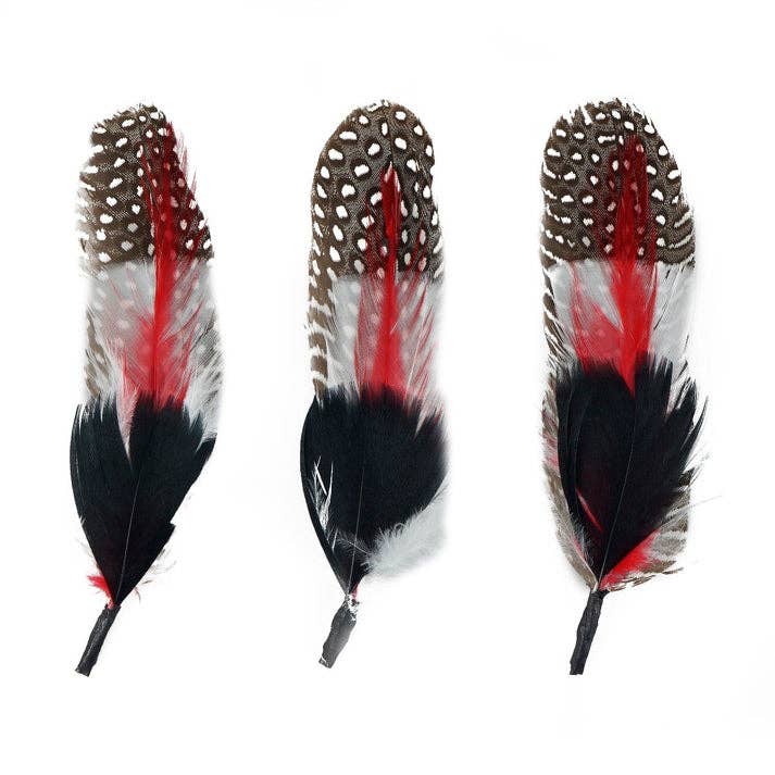 Guinea Rooster Turkey Feather Hat Trims