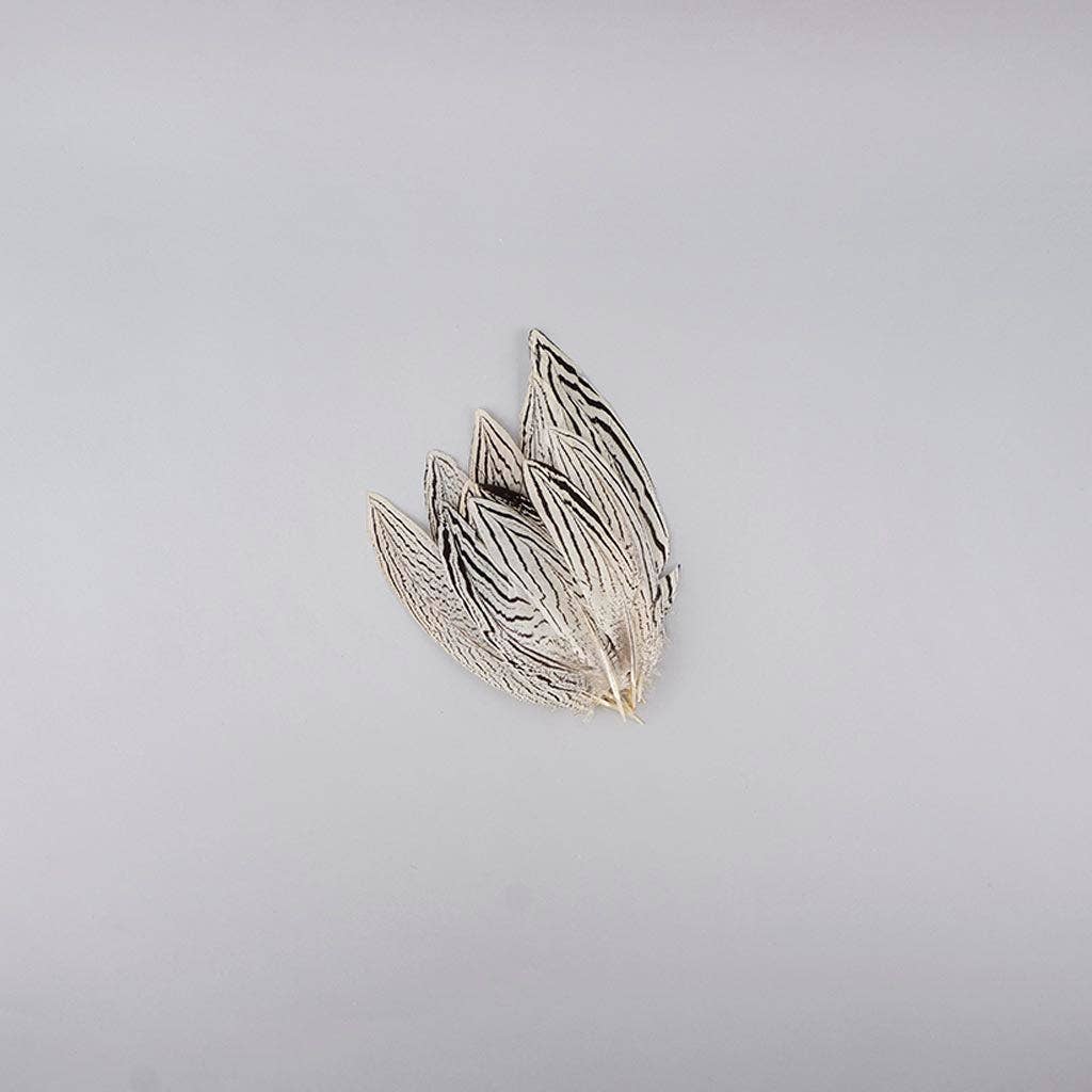 Silver Pheasant Tail Feathers - Natural