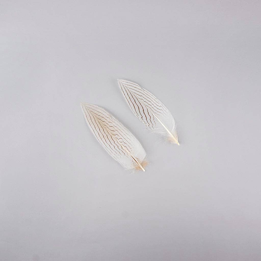 Silver Pheasant Tail Feathers - Natural - 6 - 8" - Image 2